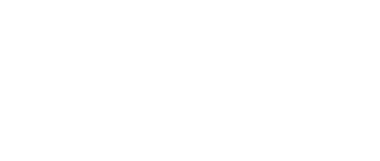 NOËL Parquet